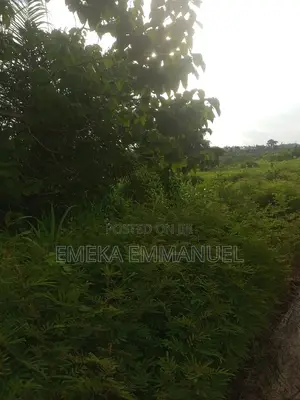 1 Plot at Mango and Lion Estate