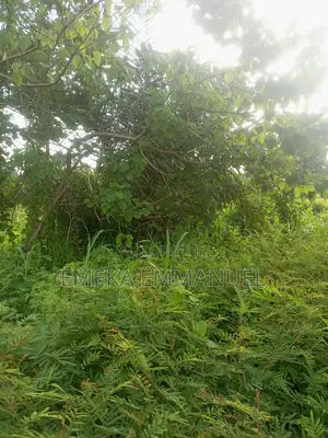 1 Plot at Mango and Lion Estate