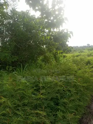 1 Plot at Mango and Lion Estate