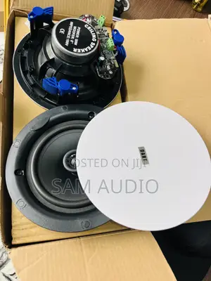 Two in One Dart Ceiling Speaker 50watts