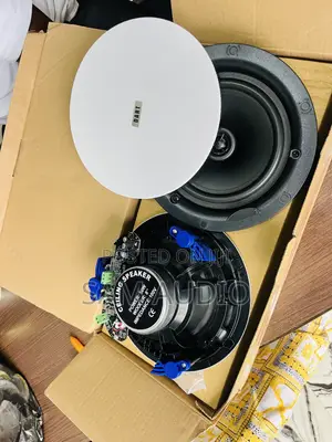 Two Way Ceiling Speaker 50watts