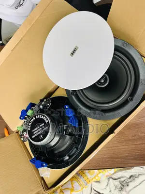 Two Way Ceiling Speaker 50watts