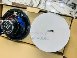 Photo - Two in 1 Ceiling Speaker