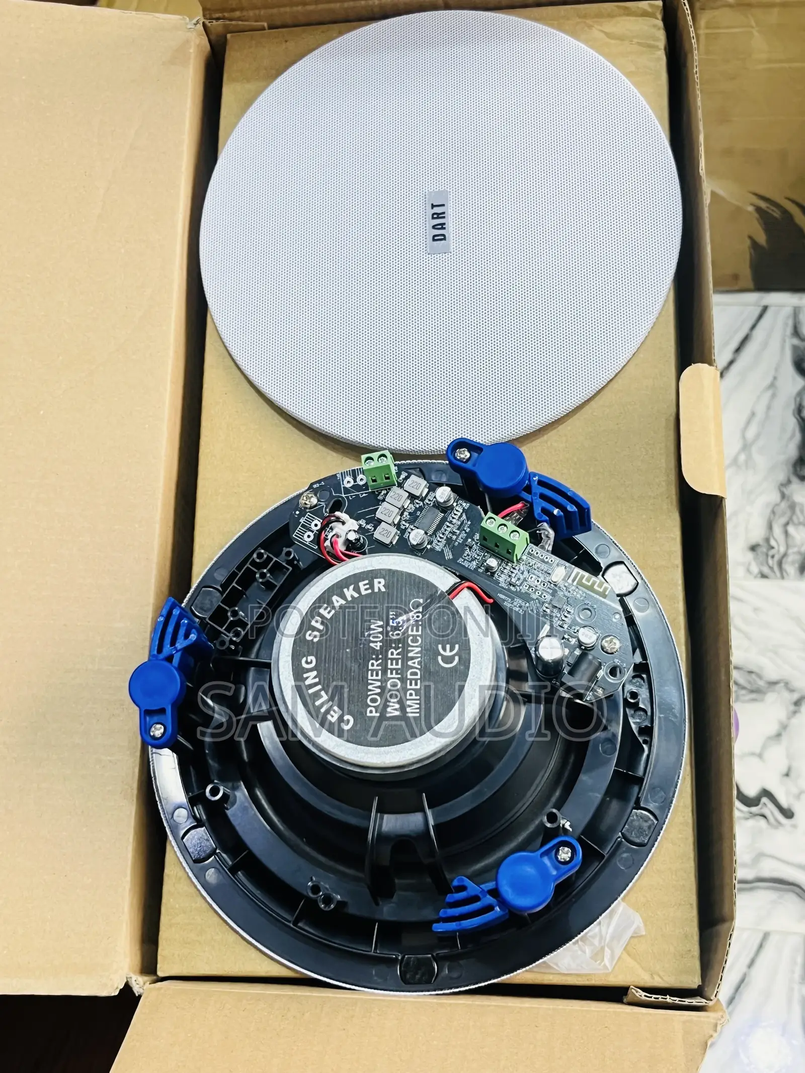 Two in 1 Ceiling Speaker