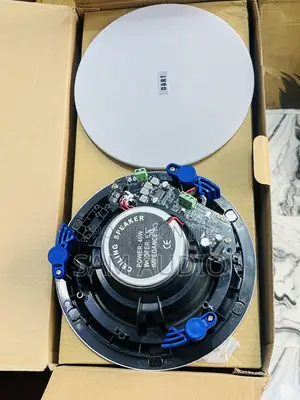 Two in 1 Ceiling Speaker