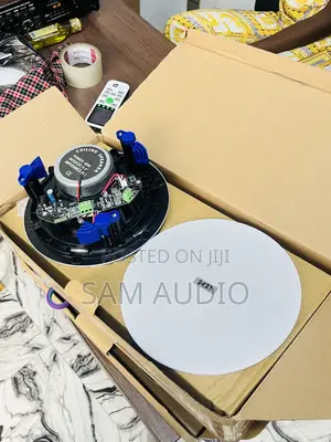 Two in 1 Ceiling Speaker