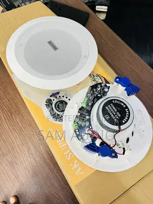 Two Way Bluetooth Speaker