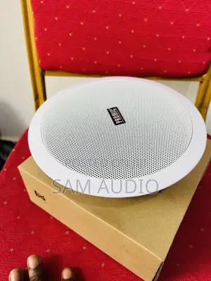 Promic Ceiling Speaker