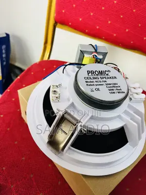 Promic Ceiling Speaker