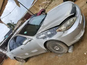 Painting of Camry