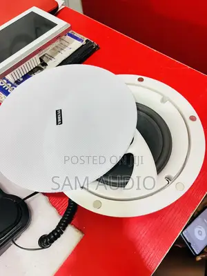 Tundra 60watts Frameless Ceiling Speaker