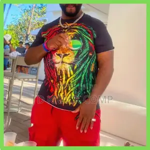 3D Digital Lion Pattern Print Graphic T-Shirts Tees