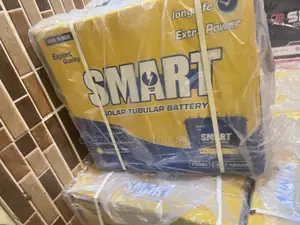 220a 12v Smart Tubular