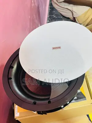 High Quality Ceiling Speaker