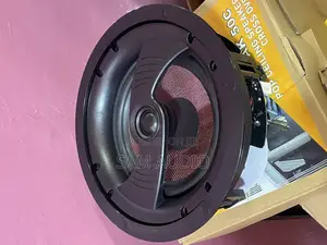 High Quality Ceiling Speaker