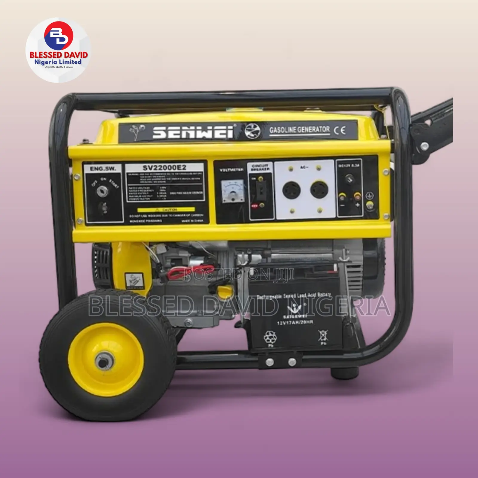 Senwei SV22000E2, 5.5kva Generator With Remote Control