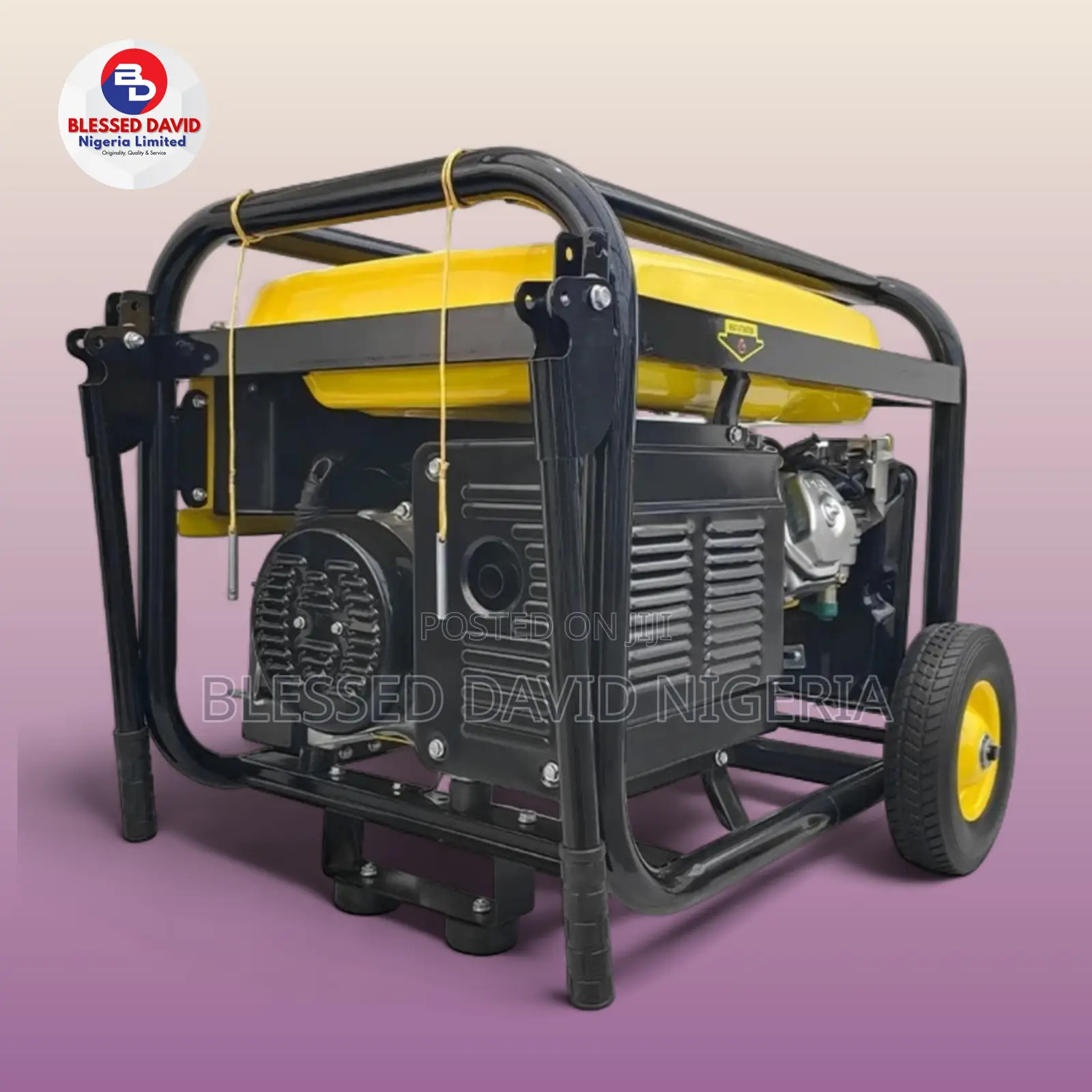 Senwei SV22000E2, 5.5kva Generator With Remote Control