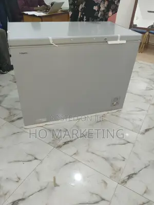 Durable and Affordable Hisense 297L Chest Freezer | Fc390sh