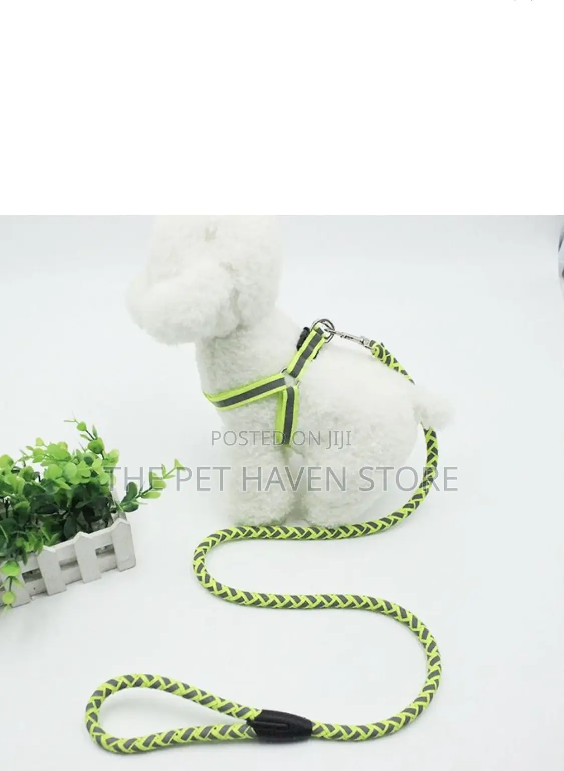 Reflective Leash