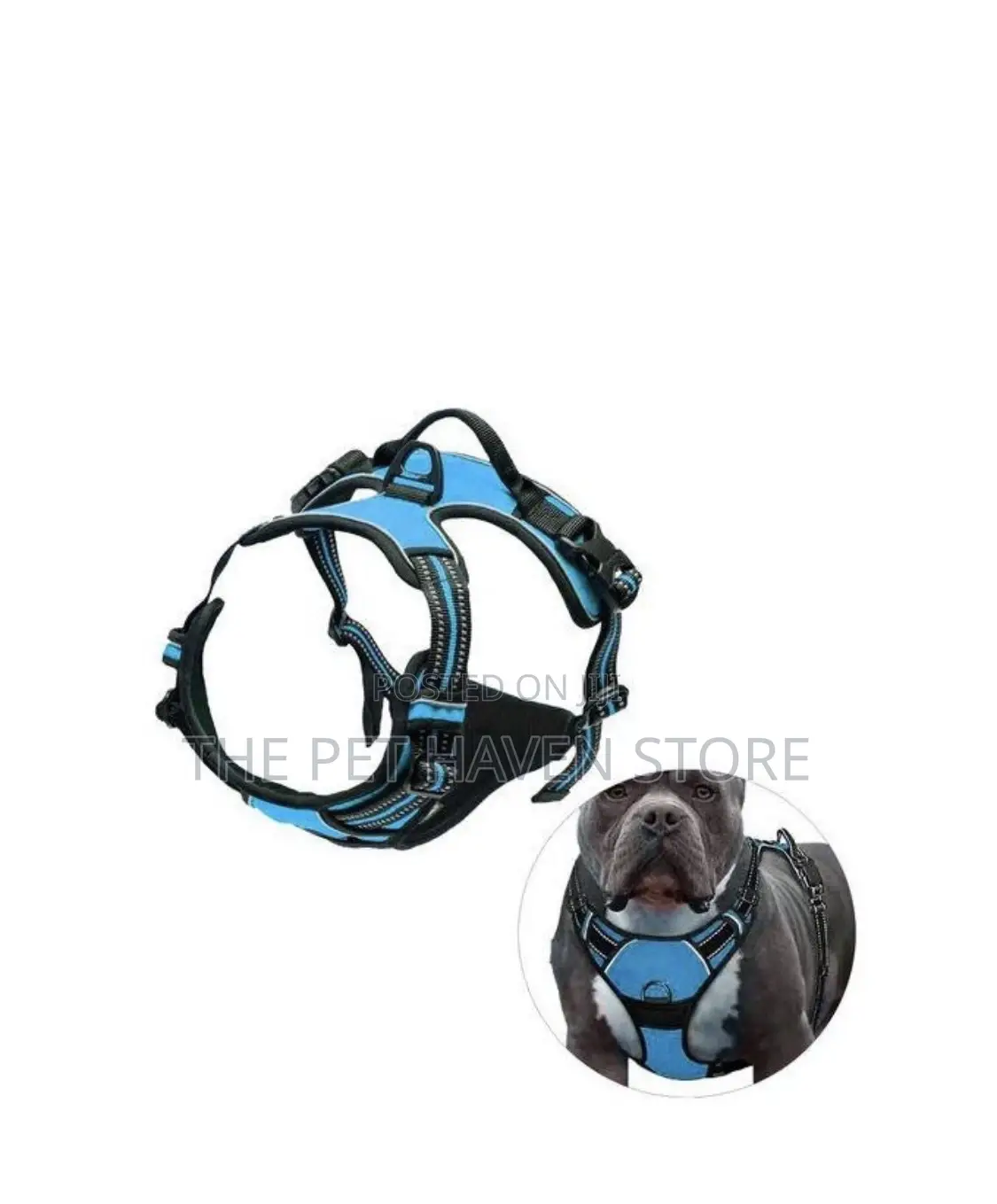 Body Harness
