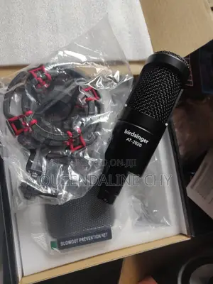 Condenser Microphone. Birdsinger