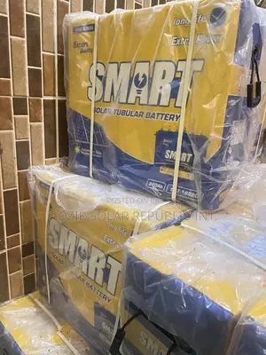220a 12v Smart Tubular