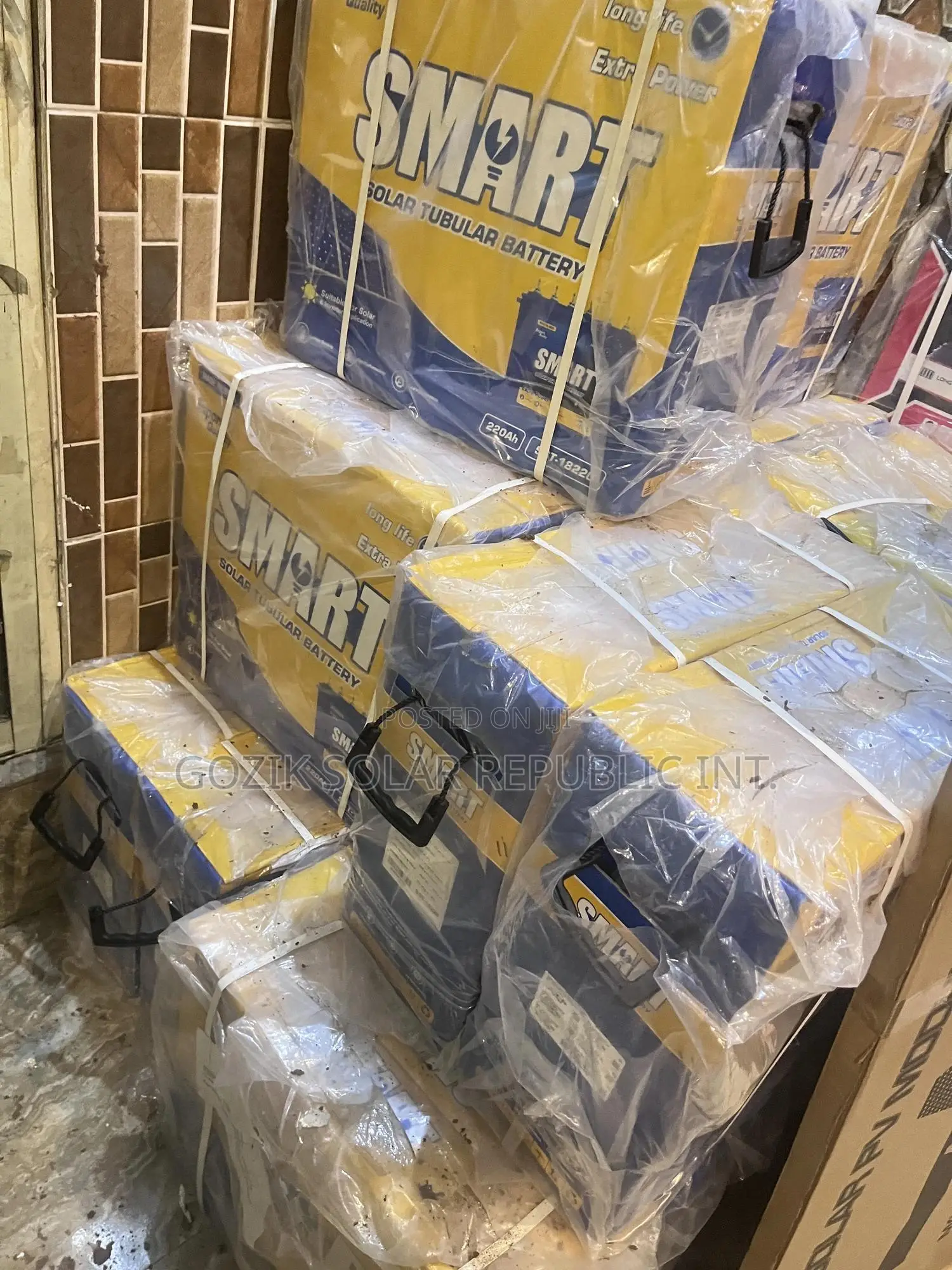 220a 12v Smart Tubular