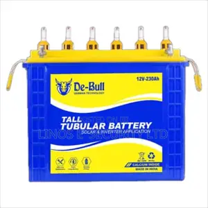 Inverter Battery