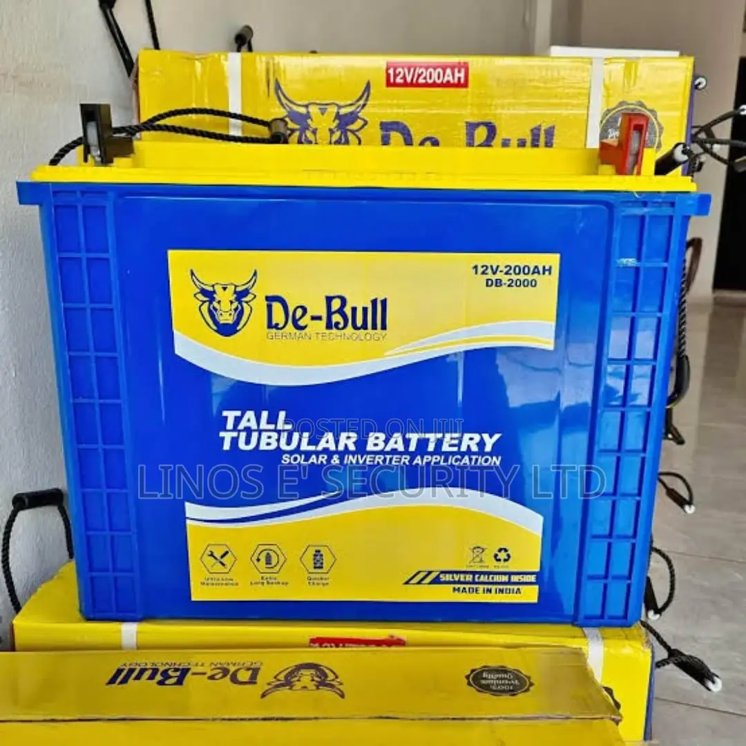 Inverter Battery