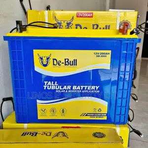 Inverter Battery