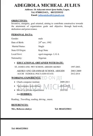 Mr Michael Julius Adegbola