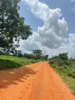 2000 Acres of Land for Sale in Oyo at Very Cheap Price