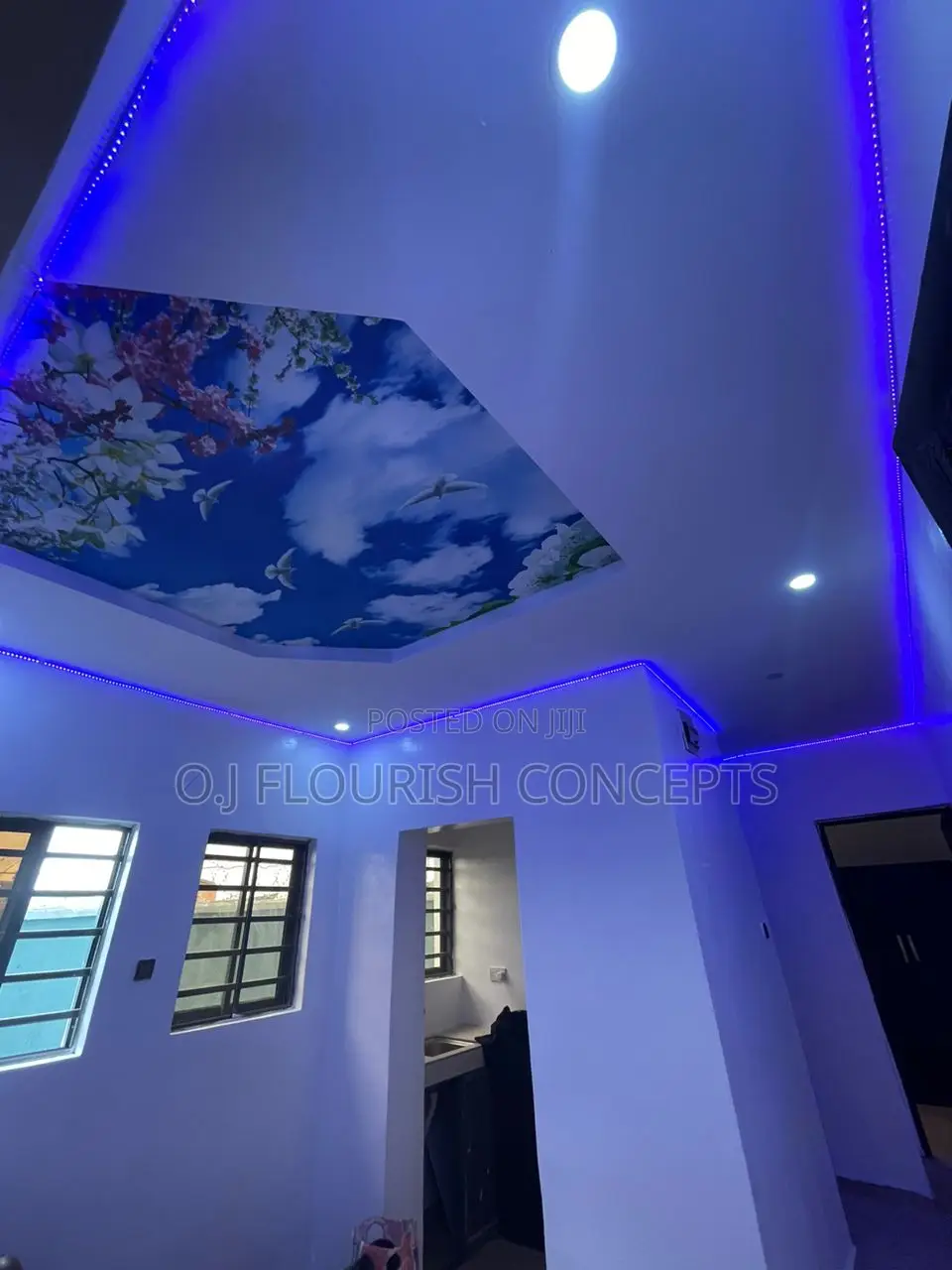 Nice Touch Ceiling Mural