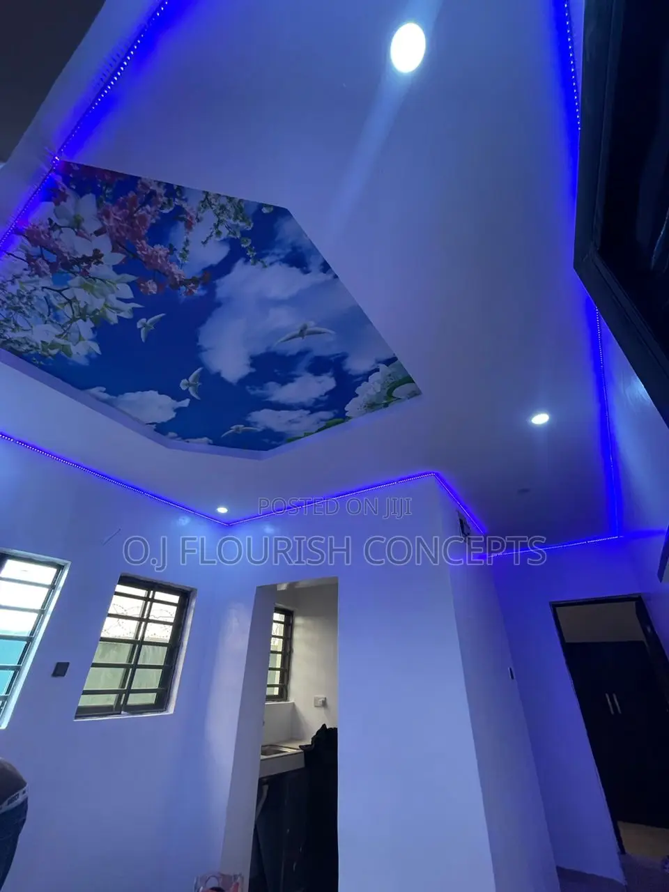 Nice Touch Ceiling Mural