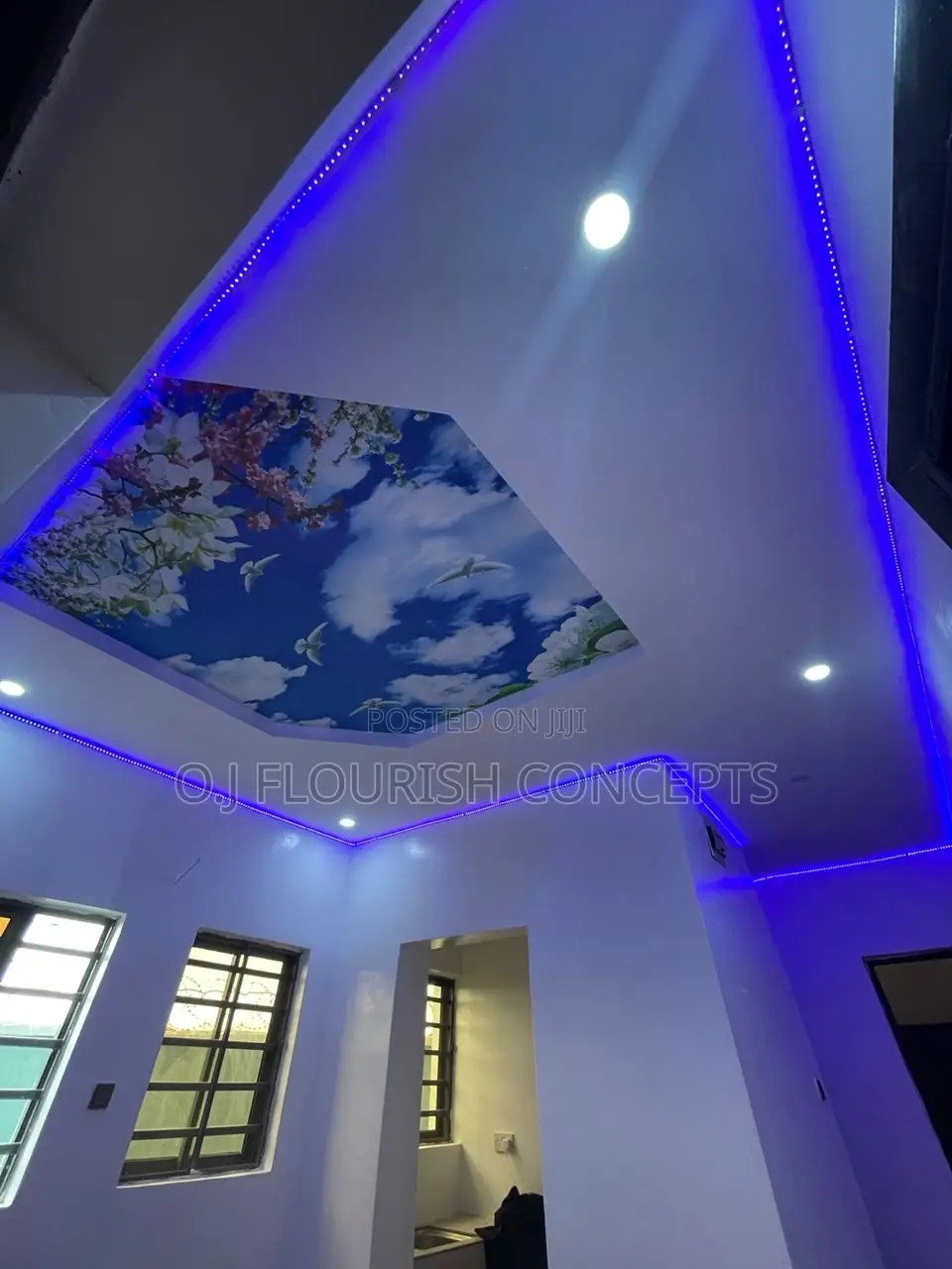 Nice Touch Ceiling Mural
