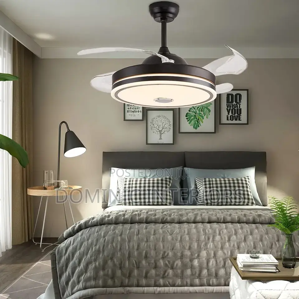 Ceiling Fan Lights and Bluetooth Speakers