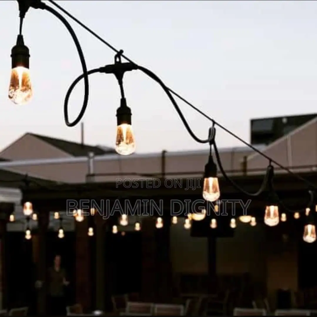Lampholder Bulbs