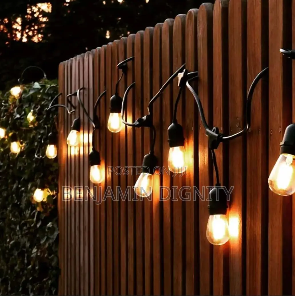 Lampholder Bulbs