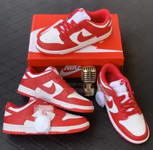 Photo - Nike SB Sneakers