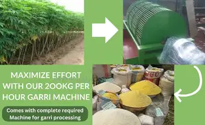 Advanced Garri Machine: Upgrade Your Output-60 Bags/Day
