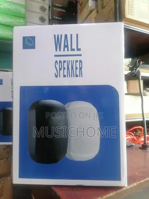 Fashion Wall Mount Speakers With Hanger