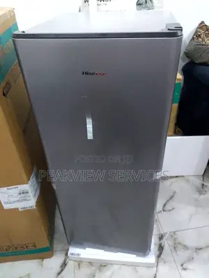 Fast Cooling 36kg Hisense RR230S Refrigerator 176litres