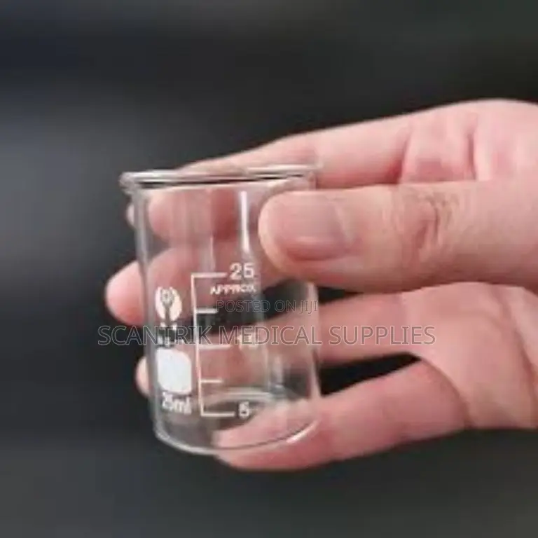 Borosilicate Glass Beaker