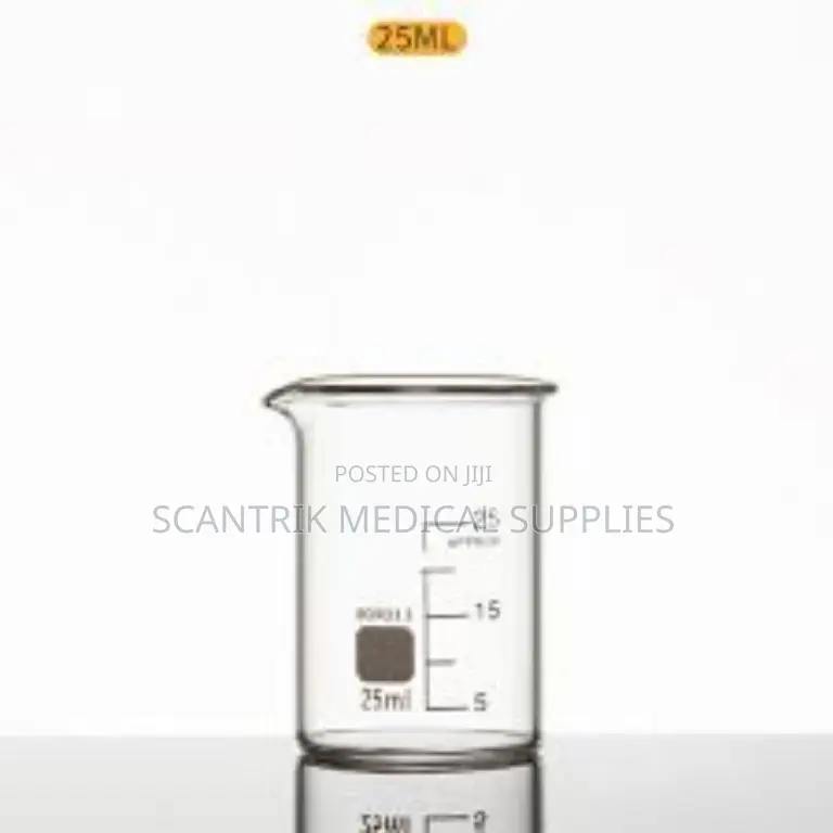 Borosilicate Glass Beaker