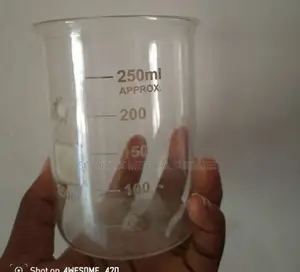 Borosilicate Glass Beaker