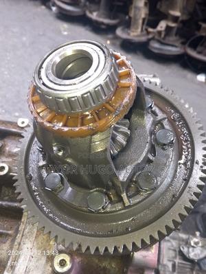 Gear Pump Pebble Lexus