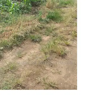 Photo - For Sale/Jv Option: 4.2acres of Land Near County Estate