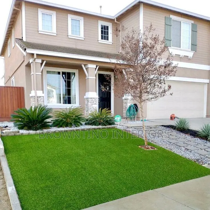 Carpet Grass