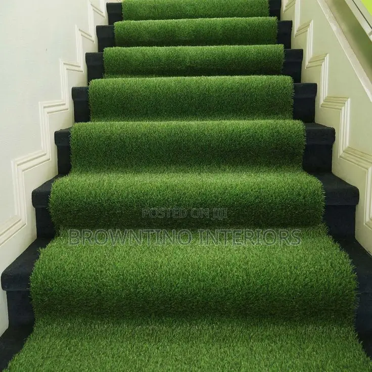 Carpet Grass