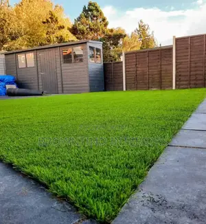 Carpet Grass